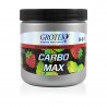 Carbo Max 100g