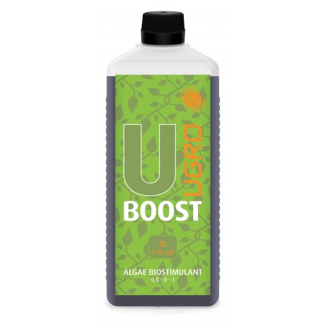UBoost 1L