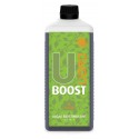 UBoost 1L