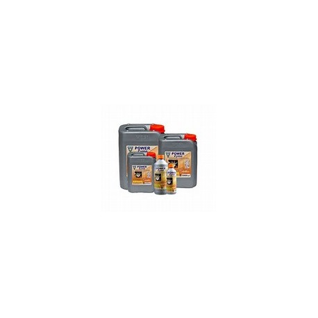 Power Zyme 5L