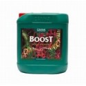 Boost Accelerator 10L