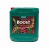 Boost Accelerator 10L