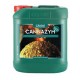 Cannazym 10L