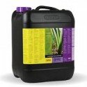 Bcuzz Soil A + B 10L .